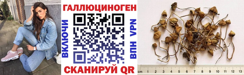 Галлюциногенные грибы MAGIC MUSHROOMS  ссылка на мегу зеркало  Новоузенск 