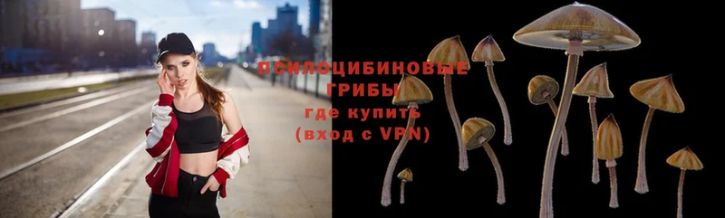 Галлюциногенные грибы MAGIC MUSHROOMS  купить закладку  Новоузенск 